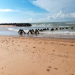 Plage de l'océan et les piscines